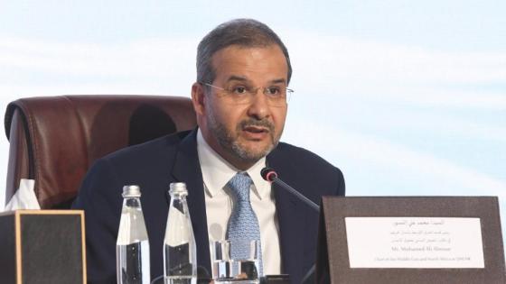 السيد محمد على النسور رئيس قسم الشرق الأوسط وشمال إفريقيا في مكتب المفوض السامي لحقوق الإنسان