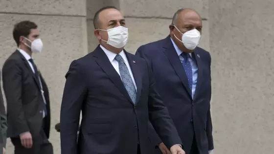 وزير الخارجية التركي ونظيره المصري