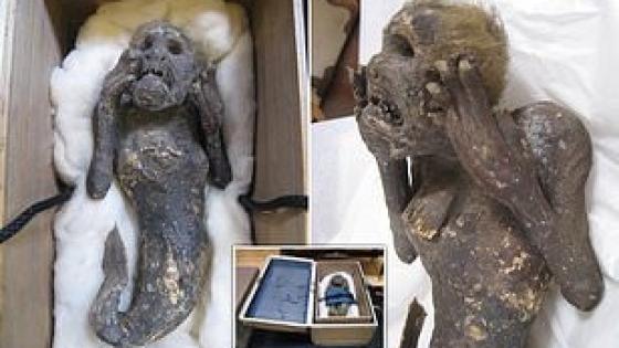 صورة المومياء المزيفة