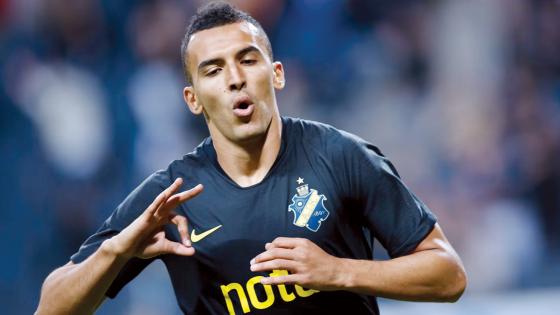 المحترف السويدي نبيل يهوي