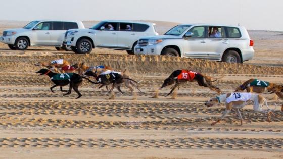 جانب من بطولة جمعية القناص الدولية