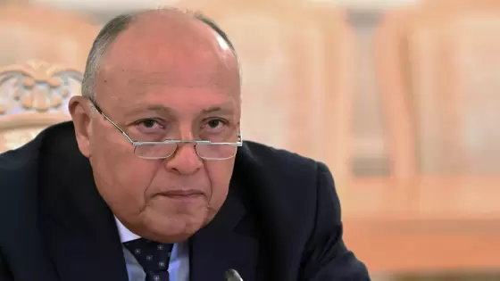 سامح شكري وزير الخارجية المصري