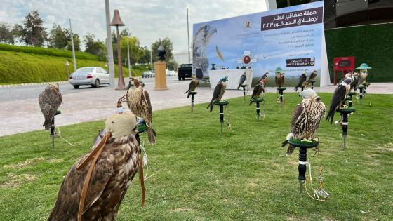 جانب من المسابقة