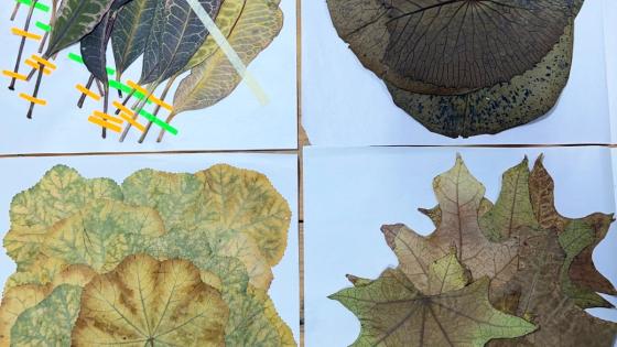 أعمال فنية من المعرض