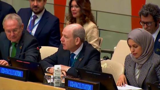 سعادة الشيخة علياء أحمد بن سيف آل ثاني المندوب الدائم لدولة قطر لدى الأمم المتحدة