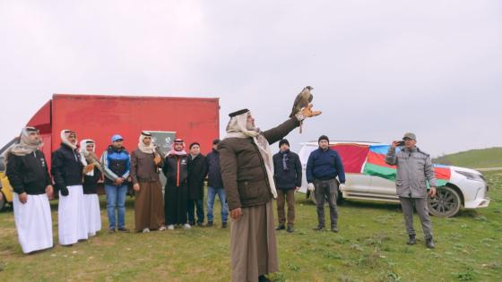 جانب من حملة إطلاق الصقور