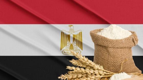 احتياطي مصر من القمح يكفي لمدة شهرين ونصف الشهر فقط