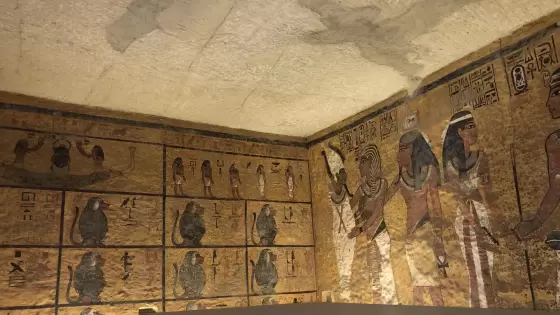 صورة تعبيرية