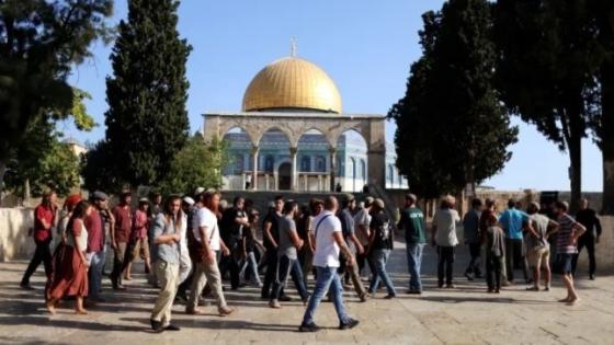 اقتحامات مستمرة للمسجد الأقصى