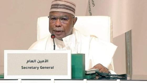 الأمين العام لمنظمة التعاون الإسلامي حسين إبراهيم طه