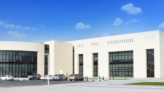 جامعة قطر