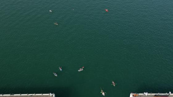 جانب من المنافسات