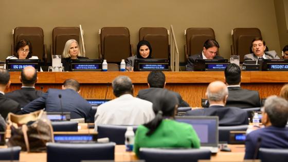 جانب من المشاركة القطرية