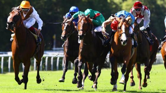 جانب من المنافسات