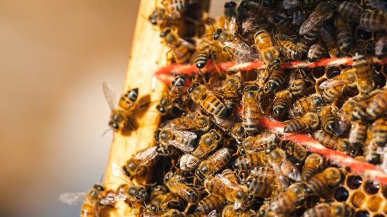 صورة تعبيرية