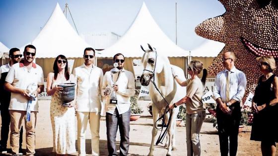 بطولة منتون الدولية لجمال الخيل بفرنسا