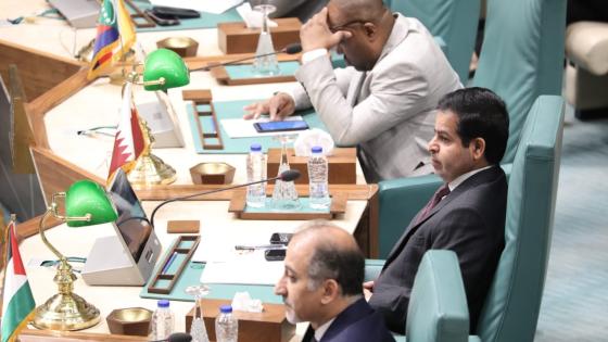 جانب من مشاركة الوفد القطري بالاجتماع