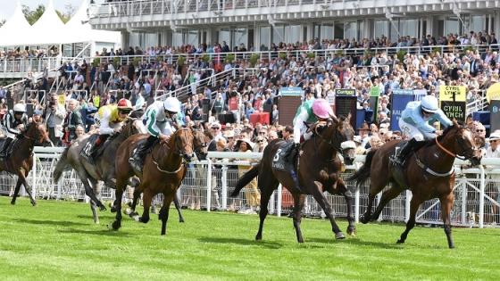 جانب من منافسات مهرجان قطر غودوود