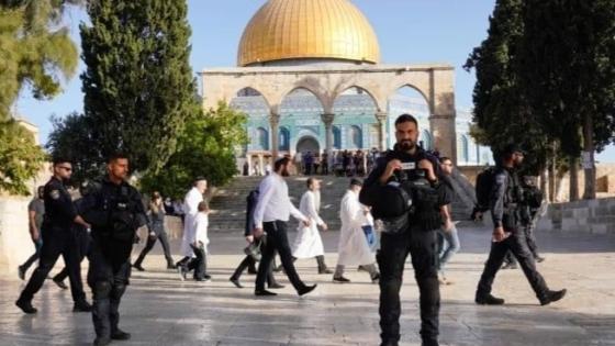 اقتحامات مستمرة للمسجد الأقصى