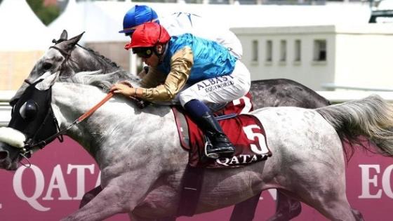 الجواد "عابس"