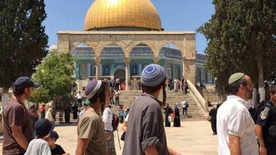 استمرار اقتحام المسجد الأقصى