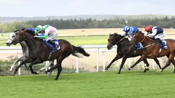 جانب من منافسات مهرجان قطر غودوود