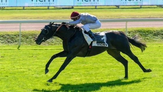 المهر صلاح الدين