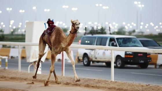 جانب من المنافسات