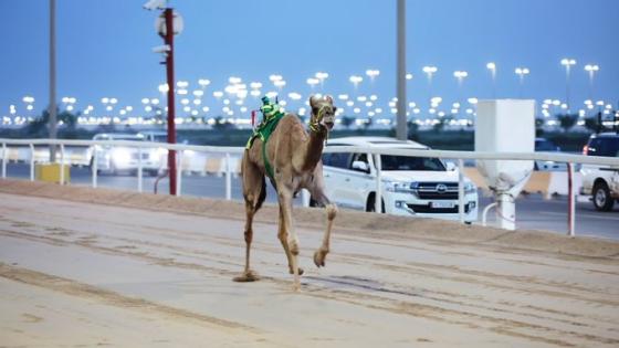 جانب من المنافسات