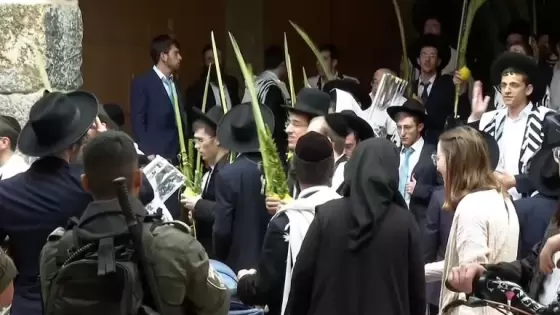 المستوطنون أدوا صلوات تلمودية عند باب القطانين