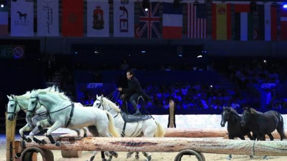 فتتاح معرض الفرس للجديدة