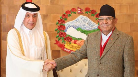 جانب من الاستقبال