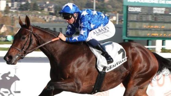 المهرة "باريبا"