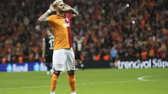 مارو إيكاردي