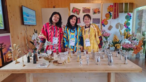 جانب من معرض مدغشقر