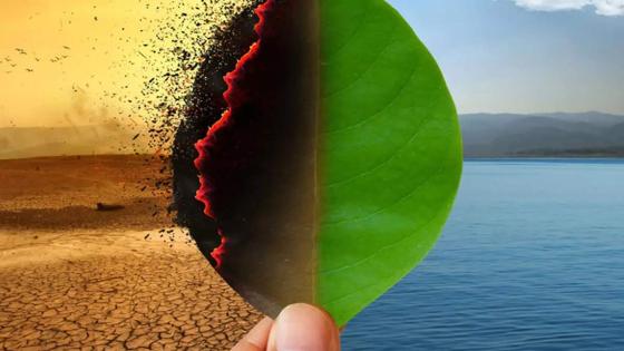 صورة تعبيرية