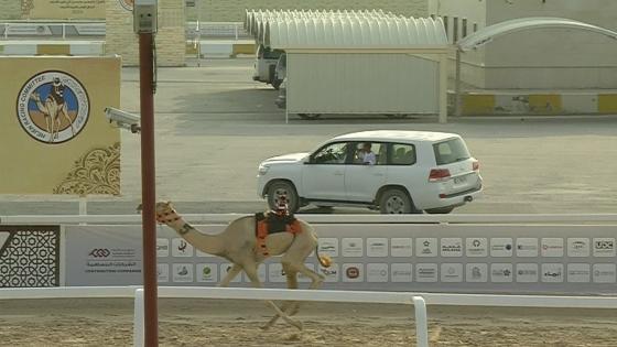 جانب من المنافسات