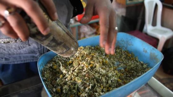 عشبة البابونج