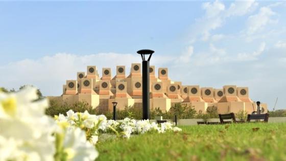 الجامعات في الخليج وقطر