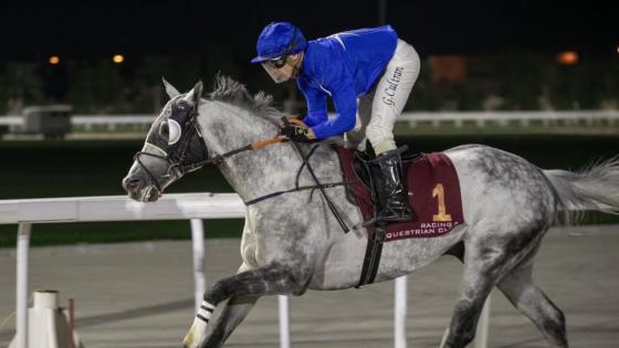 الجواد نيجينسكي الموري