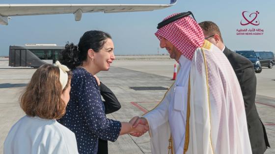 جانب من الاستقبال