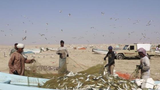 صيد الأسماك في الخليج وقطر