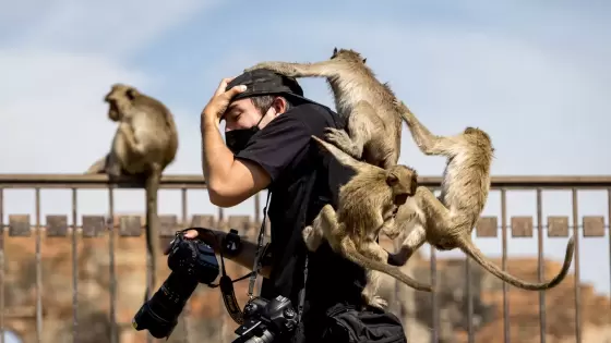 صورة تعبيرية