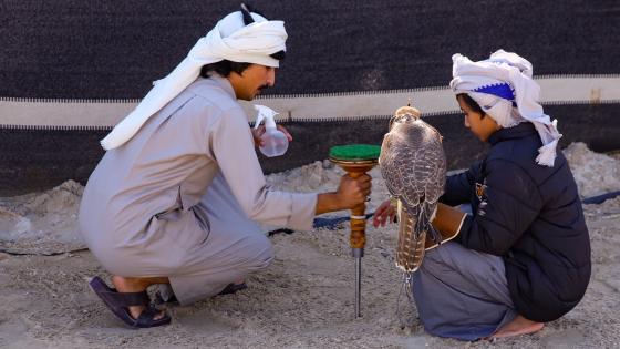 جانب من الفعاليات