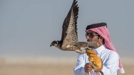 مهرجان قطر الدولي للصقور والصيد "صورة أرشيفية"