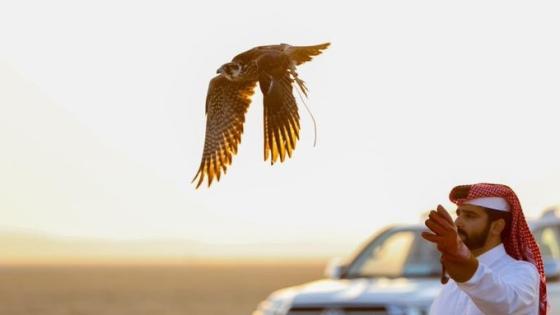 جانب من المنافسات