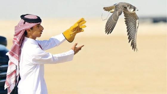 مهرجان مرمي 2024 "صورة أرشيفية"