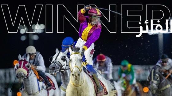 الحصان صافي الزمان