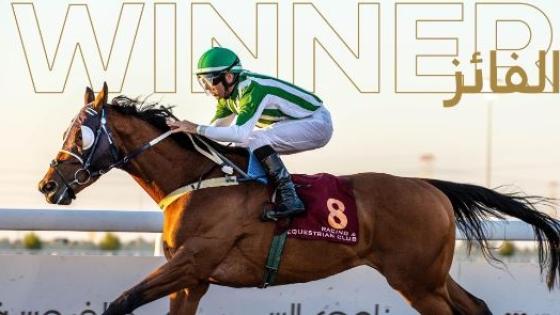 المهر "غولد إن غريت ستور"