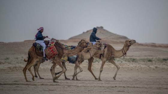 جانب من المنافسات